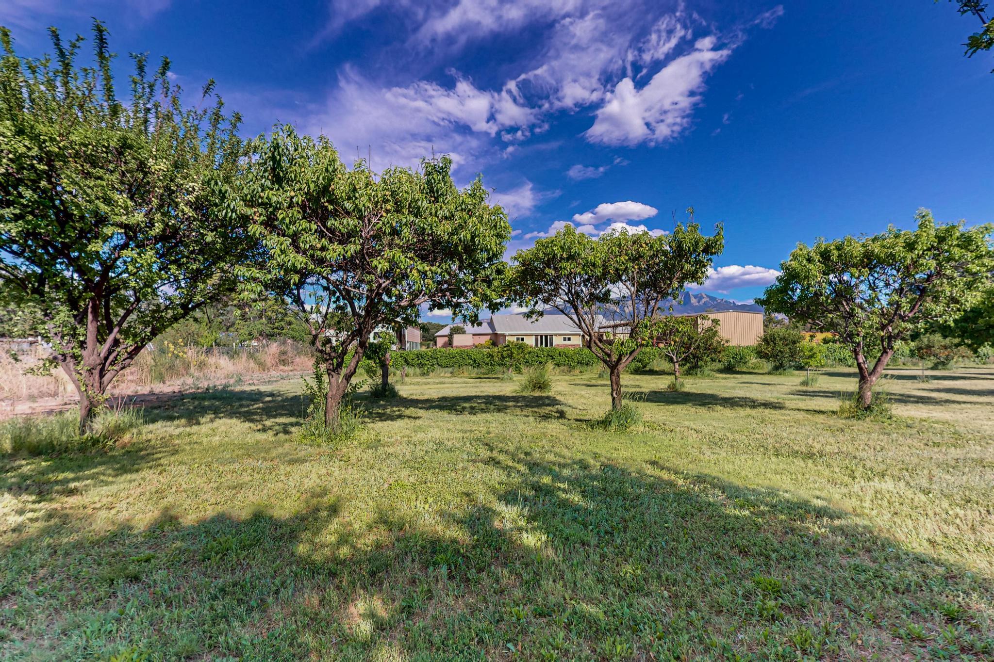 17 Llanito Road Bernalillo, NM 87004 - Photo 10 of 50 Gallery Image 10