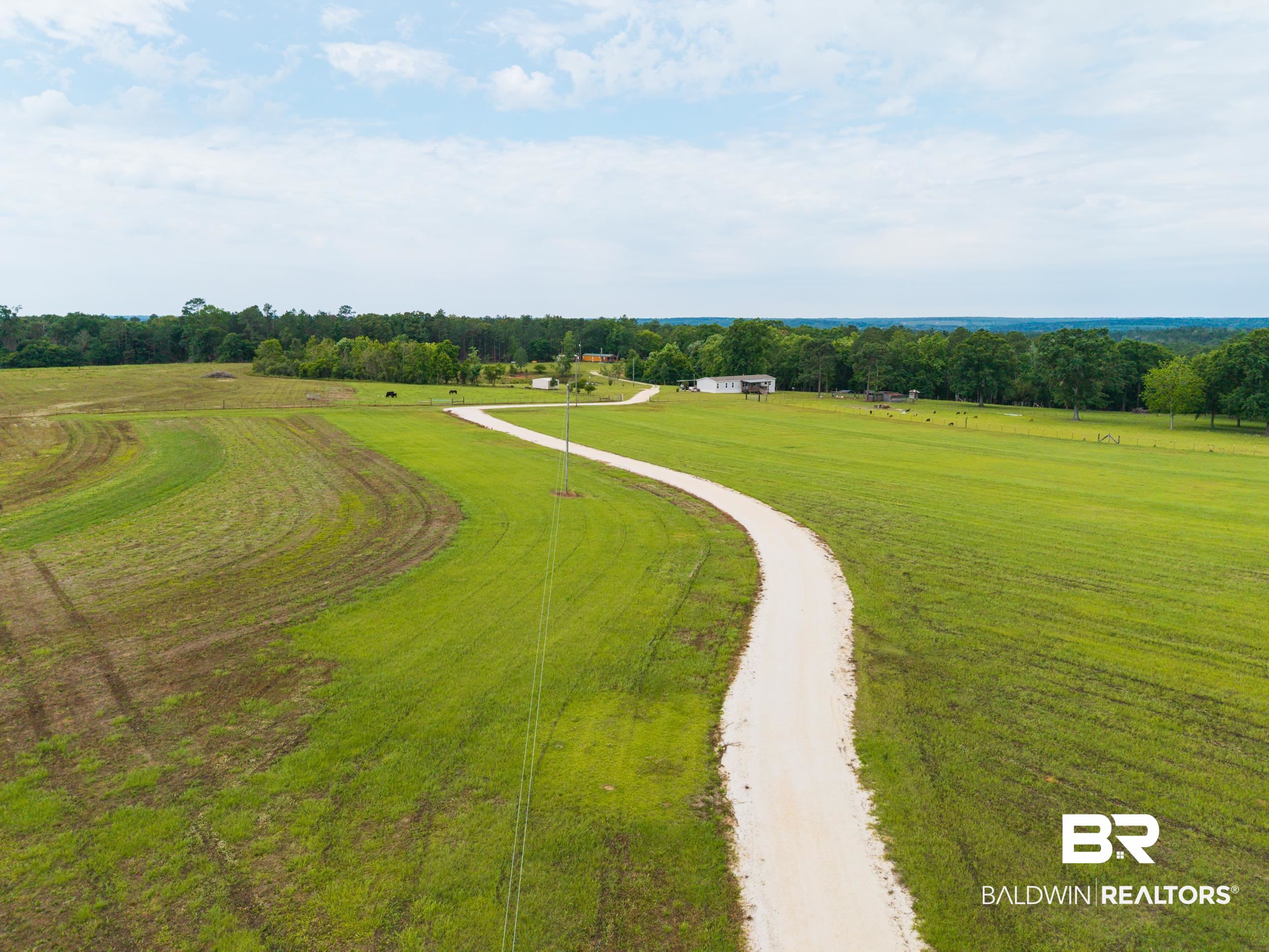 6725 Upper Creek Road Flomaton, AL 36441 - Photo 2 of 61 View of home's community with a view of rural / pastoral area, dirt driveway, a yard, and view of scattered trees