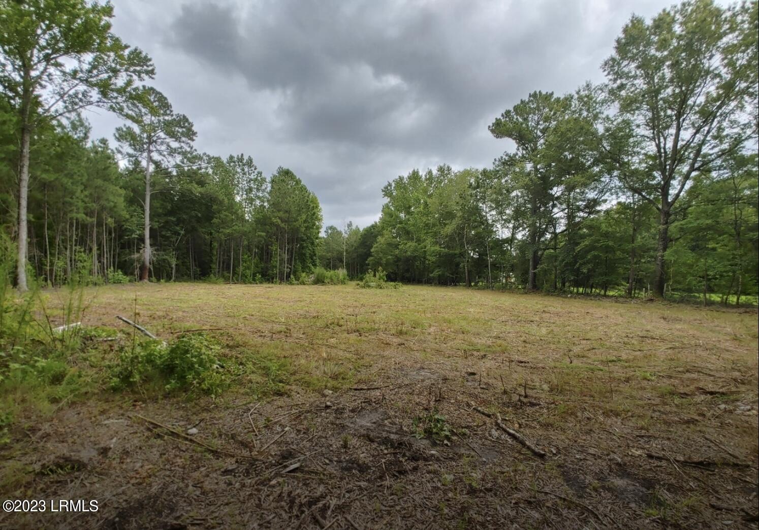 719 Cypress Branch Road Pineland, SC 29934 - Photo 3 of 7 IMG_9617
