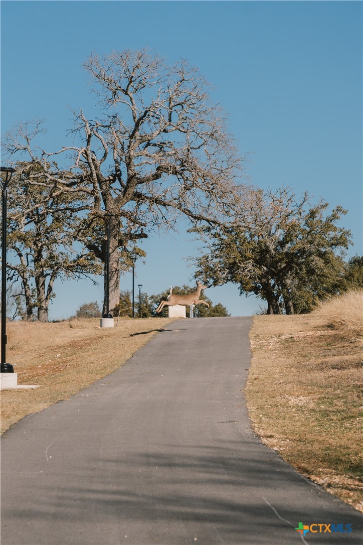4117 Onega Trail Belton, TX 76513 - Photo 13 of 19 a view of a ocean beach