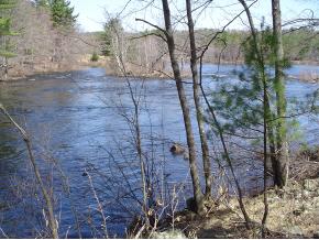 0 Pratt Road Effingham, NH 03882 - Photo 1 of 1 Gallery Image 1
