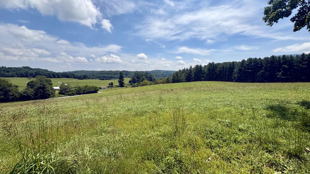 21 South S Street, Unit 1 Elkin, NC 28621 - Photo 43 of 57 Gallery Image 43