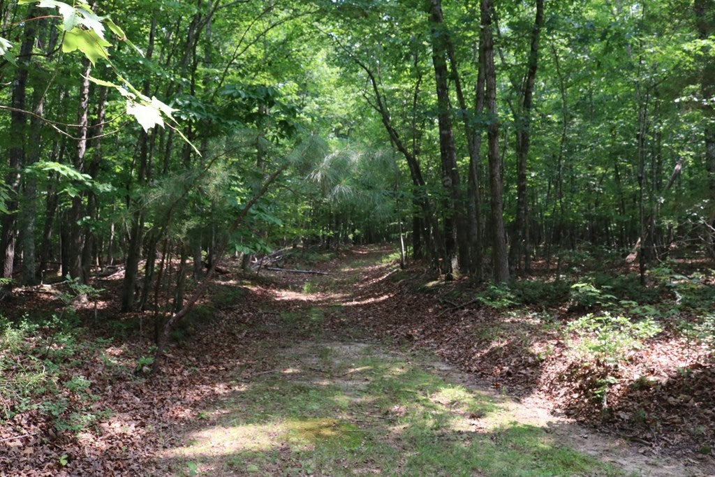 172 Jeffress Road Keysville, VA 23947 - Photo 23 of 27 Gallery Image 23