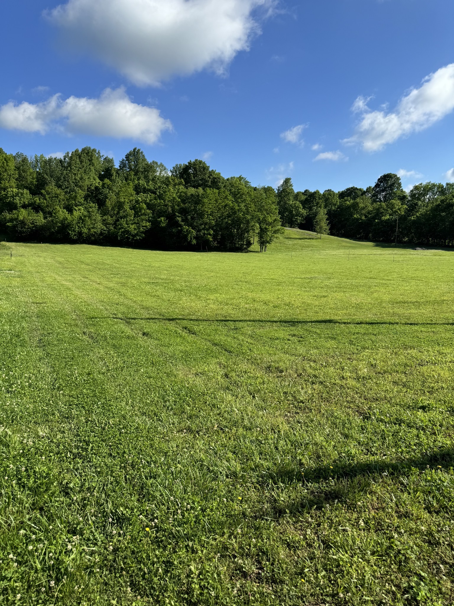 5946 Greenvale Road Watertown, TN 37184 - Photo 2 of 4