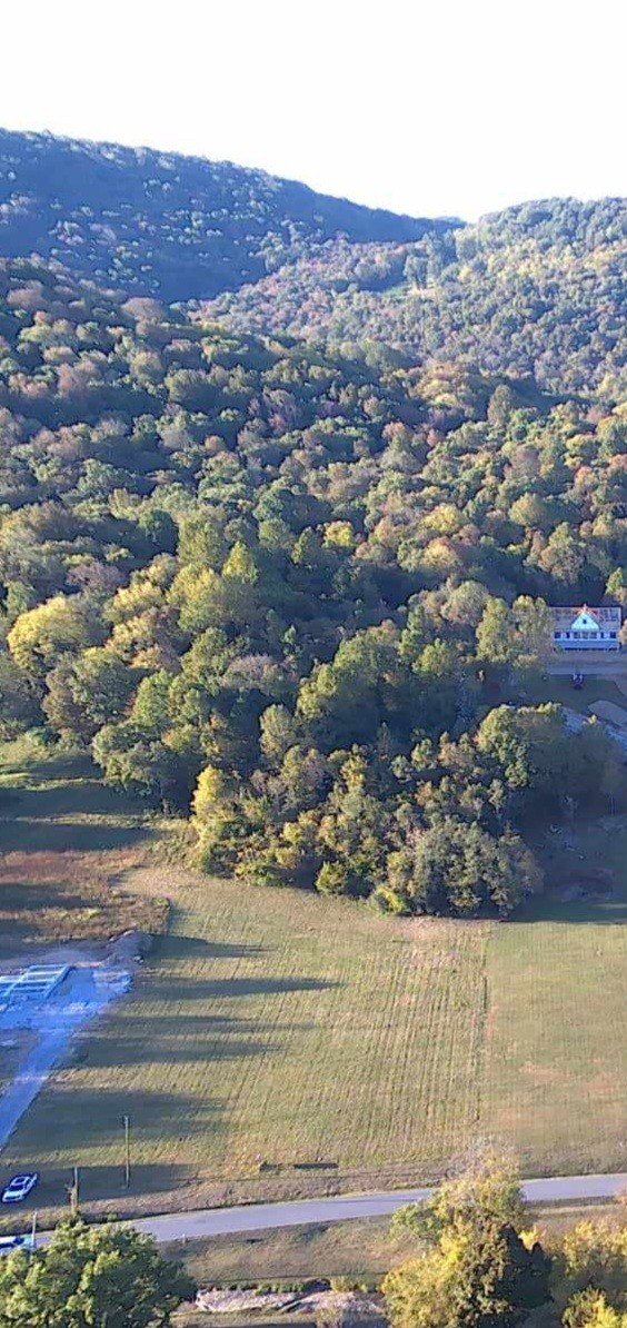 5946 Greenvale Road Watertown, TN 37184 - Photo 4 of 4