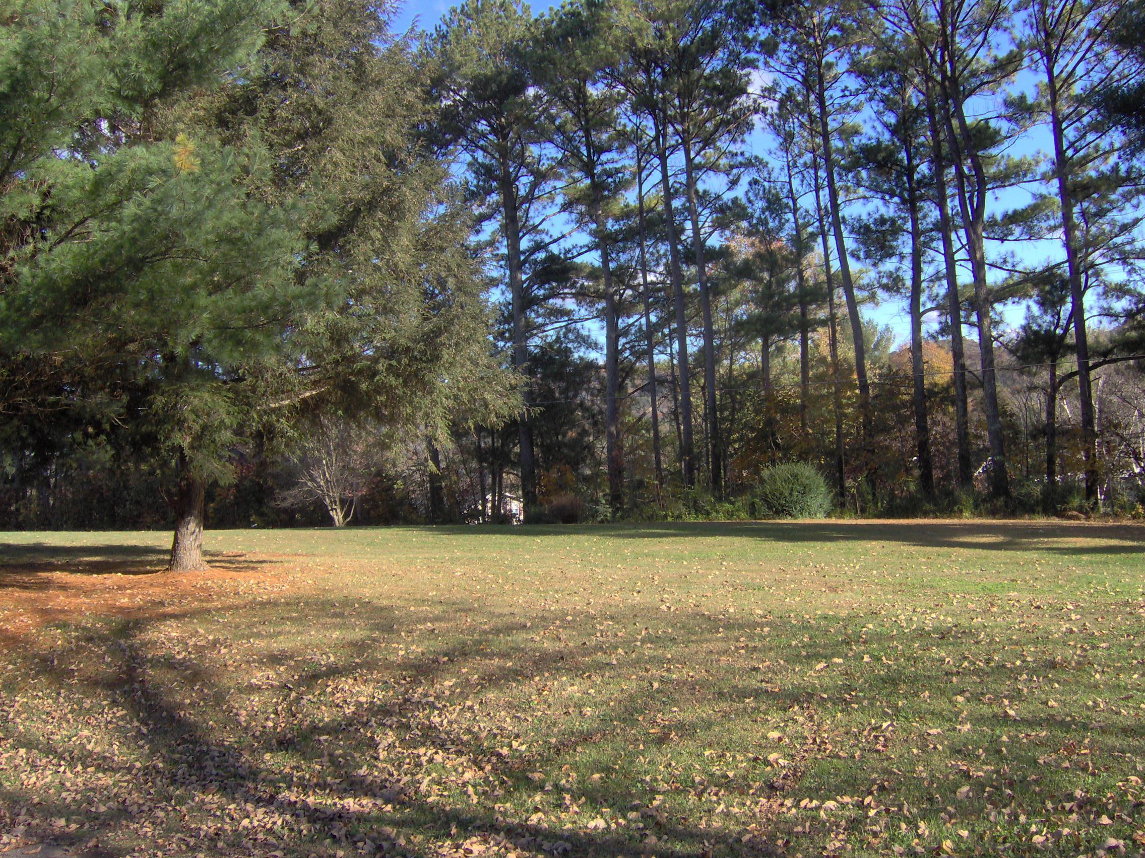 7131 Rutledge Pike Rutledge, TN 37861 - Photo 8 of 18 027