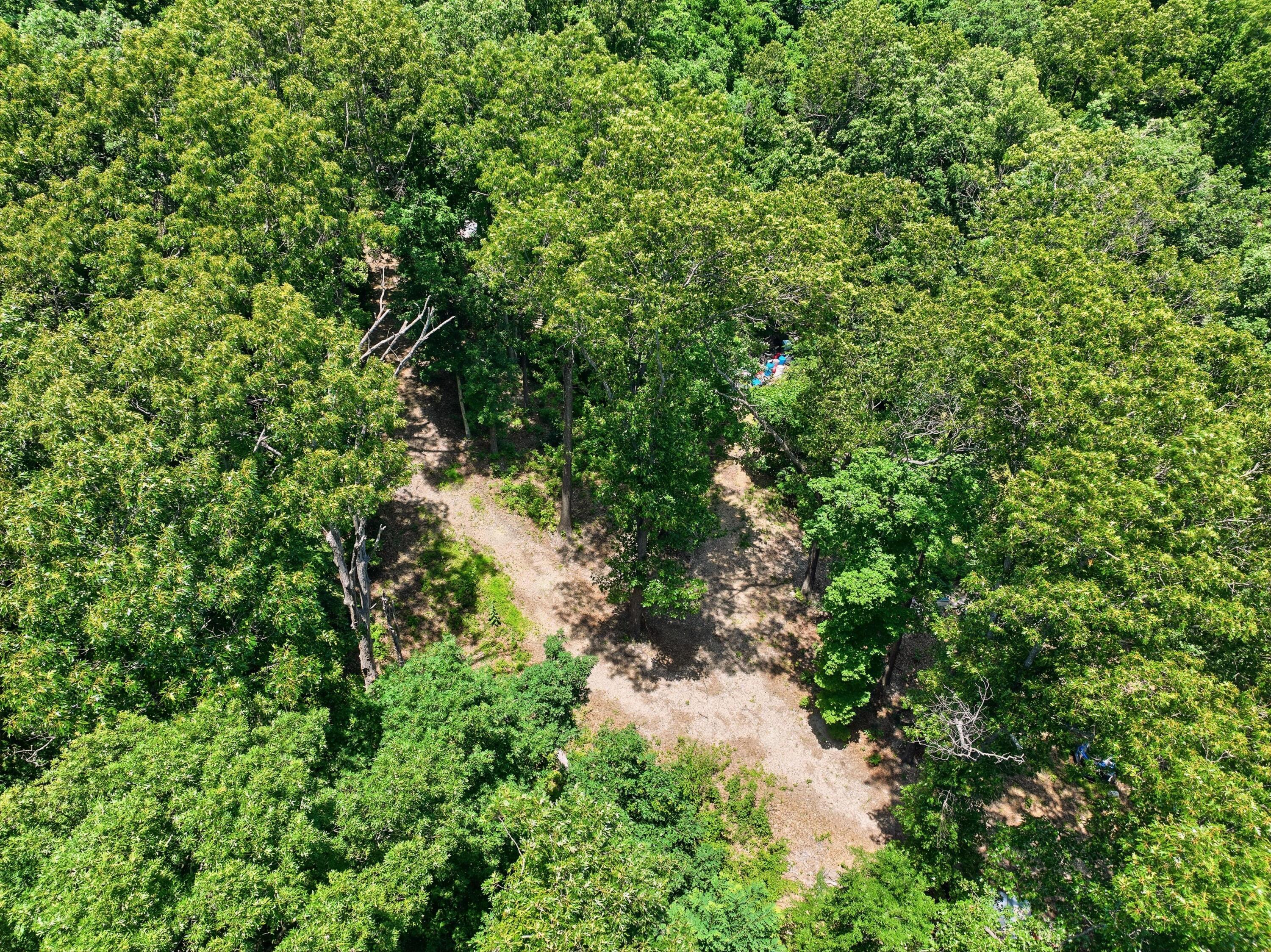 989 Schlessman Road Anderson, MO 64831 - Photo 11 of 13 010