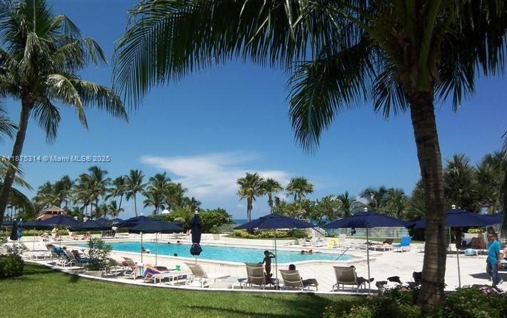 5161 Collins Avenue, Unit 603 Miami Beach, FL 33140 - Photo 41 of 56 a view of a palm trees