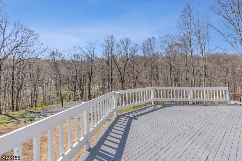 101 Rippling Brook Way Bernardsville, NJ 07924 - Photo 39 of 47