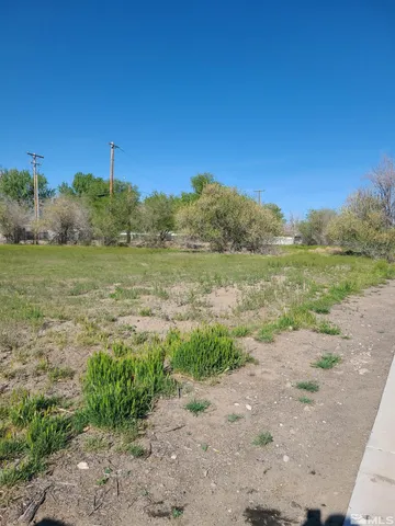 a view of a field with an ocean