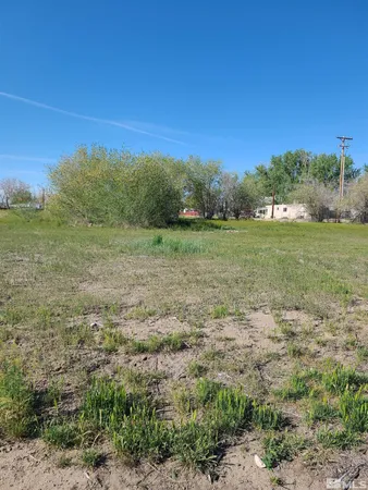 a view of a field with an trees