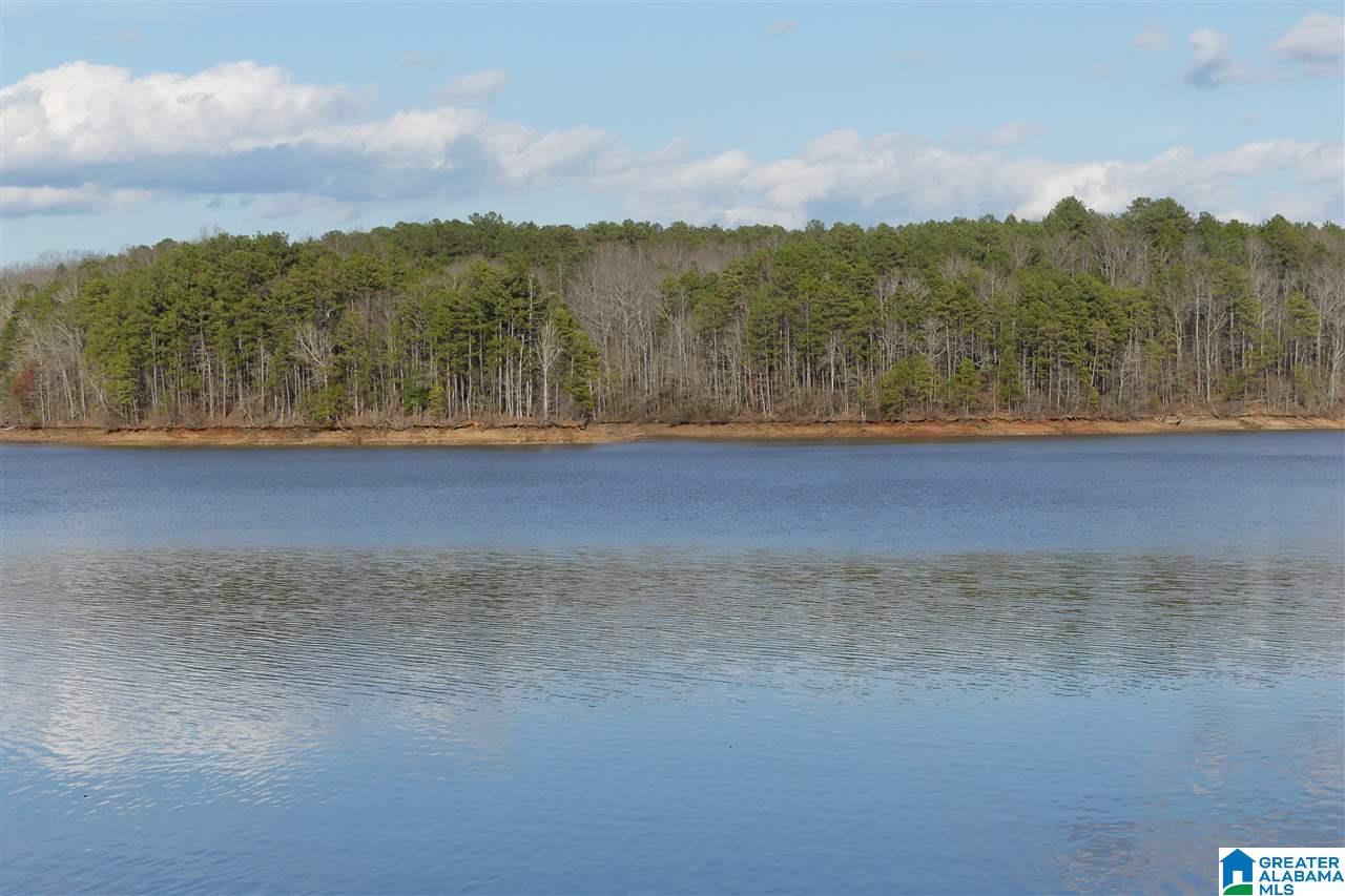 Lot 1 A Red Barn Road, Unit 1A Wedowee, AL 36278 - Photo 2 of 8