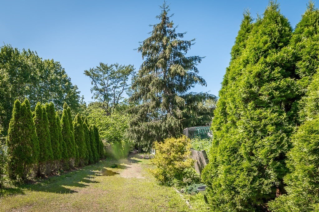 56 Summer Street, Unit A Manchester, MA 01944 - Photo 32 of 35 a view of a garden
