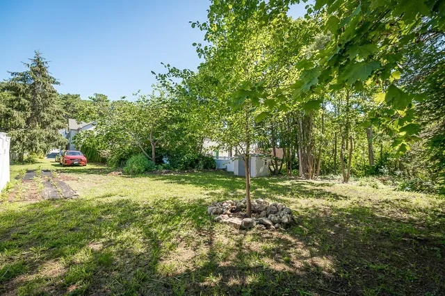 a view of a yard with plants and trees