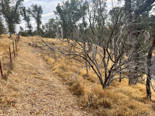 a view of snow on the road