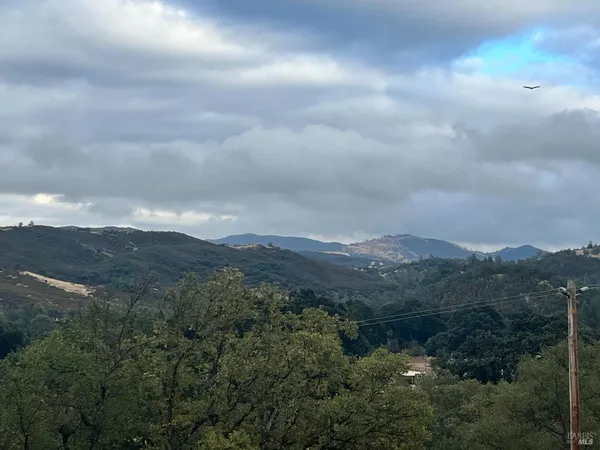 an aerial view of houses covered in trees