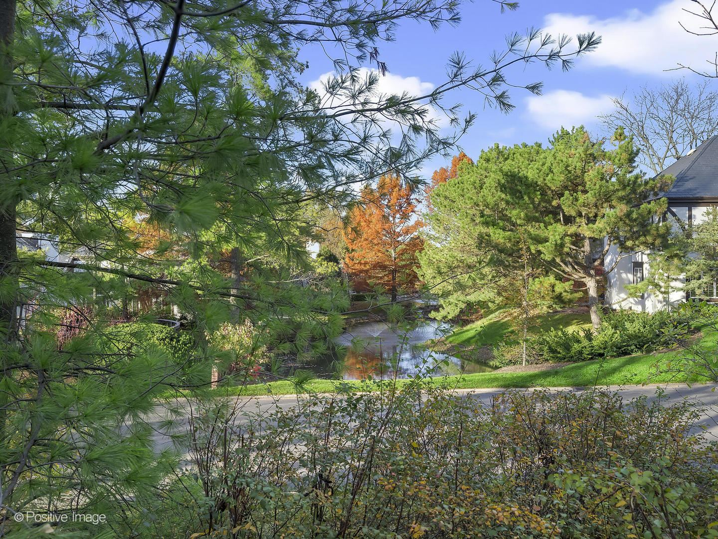 701 Burr Ridge Club Burr Ridge, IL 60527 - Photo 28 of 41