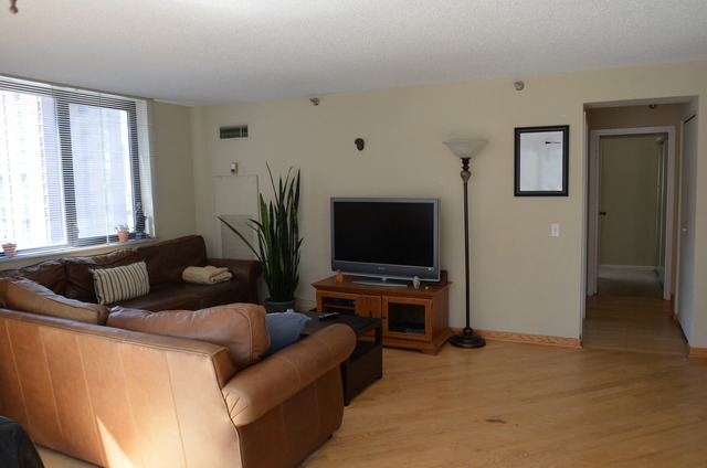 33 West Delaware Place, Unit 13A Chicago, IL 60610 - Photo 4 of 10 a living room with furniture and a flat screen tv