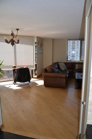 33 West Delaware Place, Unit 13A Chicago, IL 60610 - Photo 5 of 10 a living room with furniture