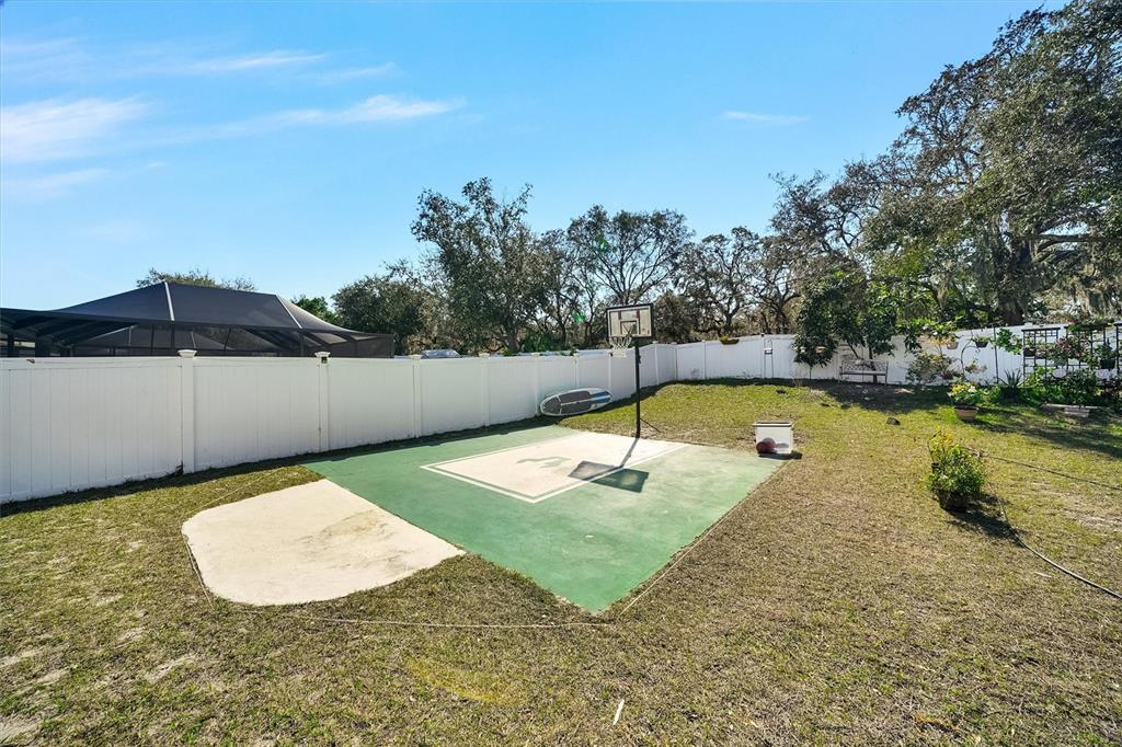 13706 Fareham Road Odessa, FL 33556 - Photo 20 of 21 a view of a swimming pool