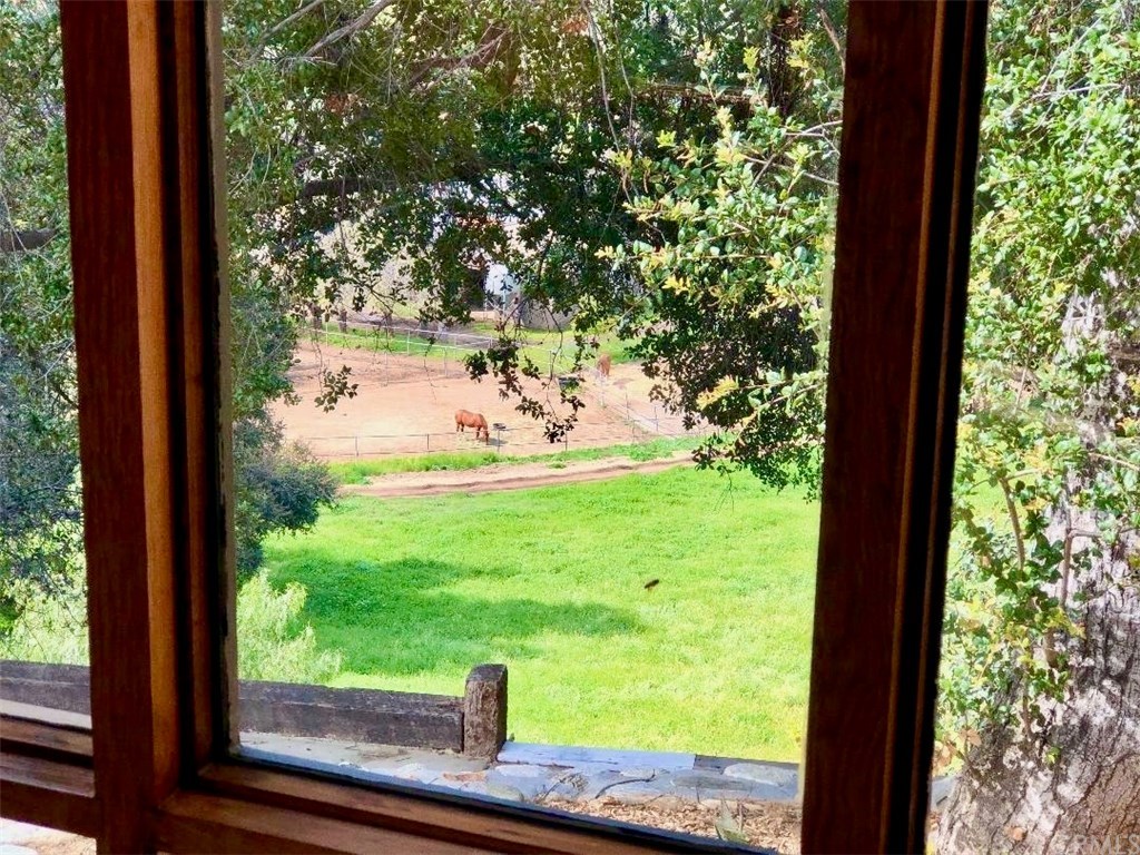 4669 Webb Canyon Road Claremont, CA 91711 - Photo 19 of 62 View From Living Room - Main House