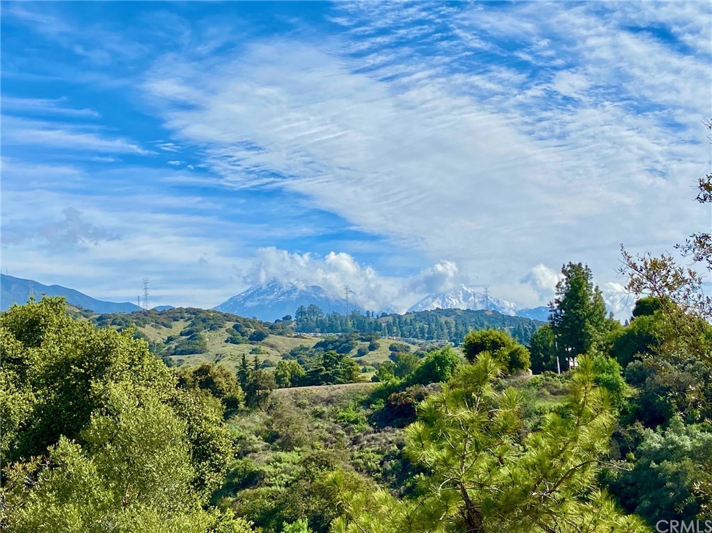 4669 Webb Canyon Road Claremont, CA 91711 - Photo 10 of 62 View From Kitchen Main House