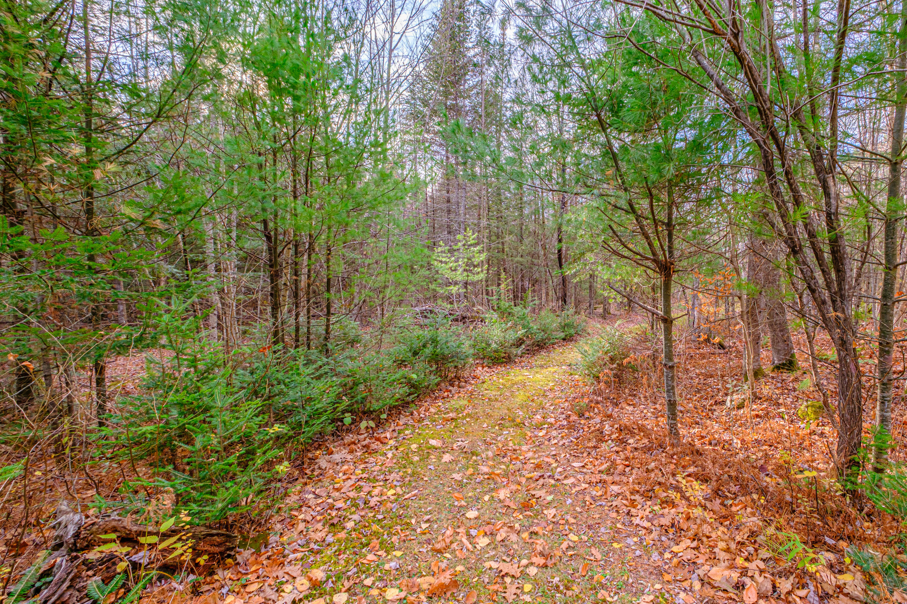 304 Dunn Road Norway, ME 04268 - Photo 100 of 121 20251103gp-61097