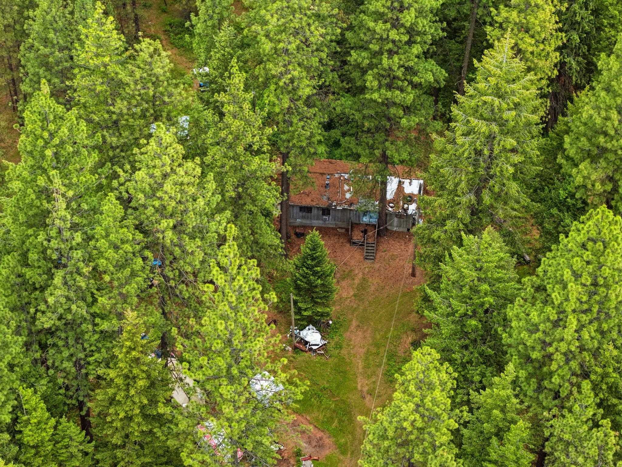 11603 East Deer Creek Road Chattaroy, WA 99003 - Photo 7 of 26