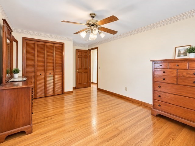709 North Branch Parkway Springfield, MA 01119 - Photo 9 of 10 Gallery Image 9