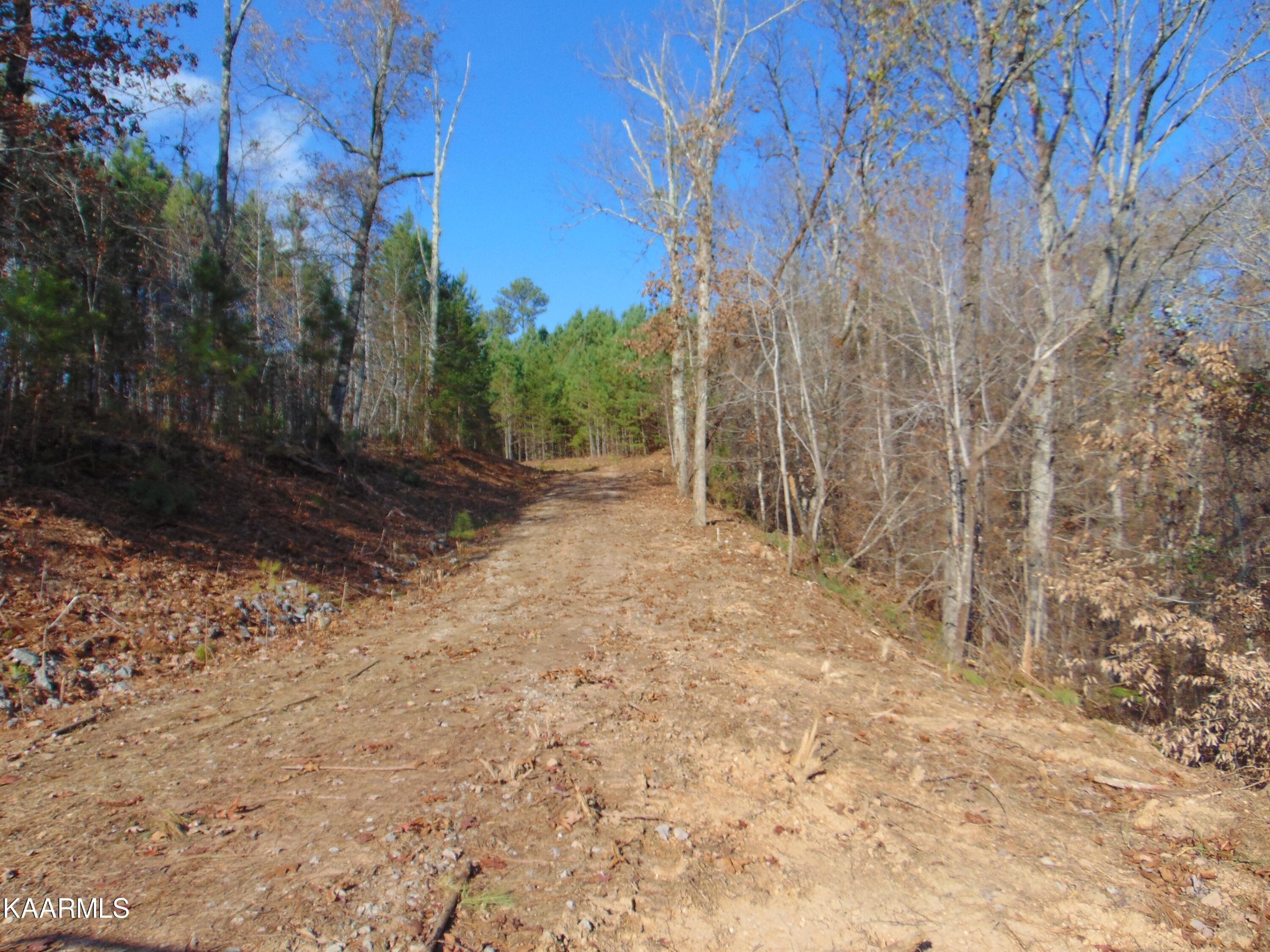 738 Lamontville Road Decatur, TN 37322 - Photo 14 of 60