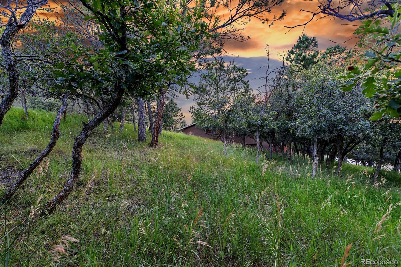8140 Stetson Road Parker, CO 80134 - Photo 37 of 38 Gallery Image 37