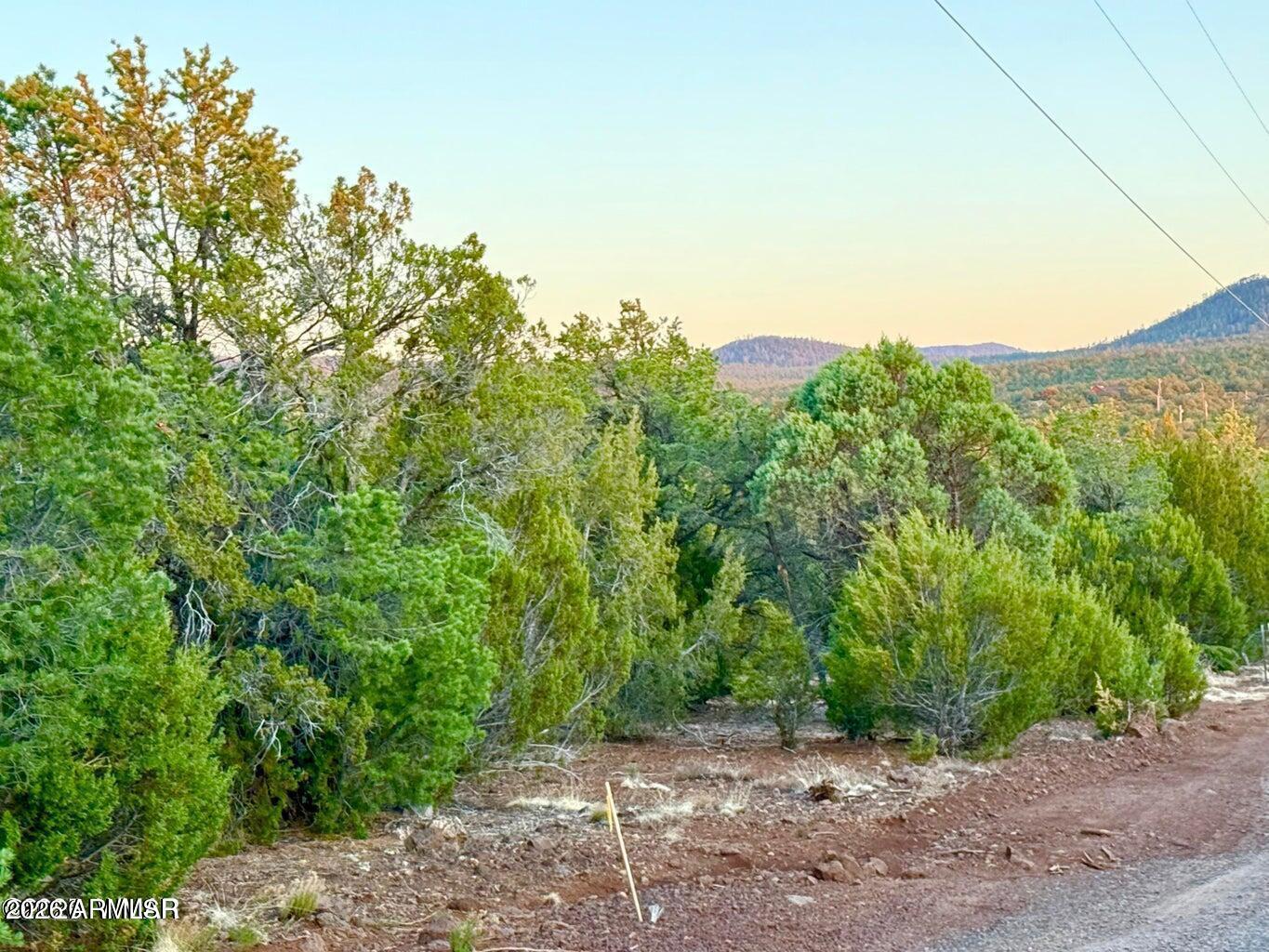 6 Co Road Vernon, AZ 85940 - Photo 2 of 18 20260224015942362490000000-o