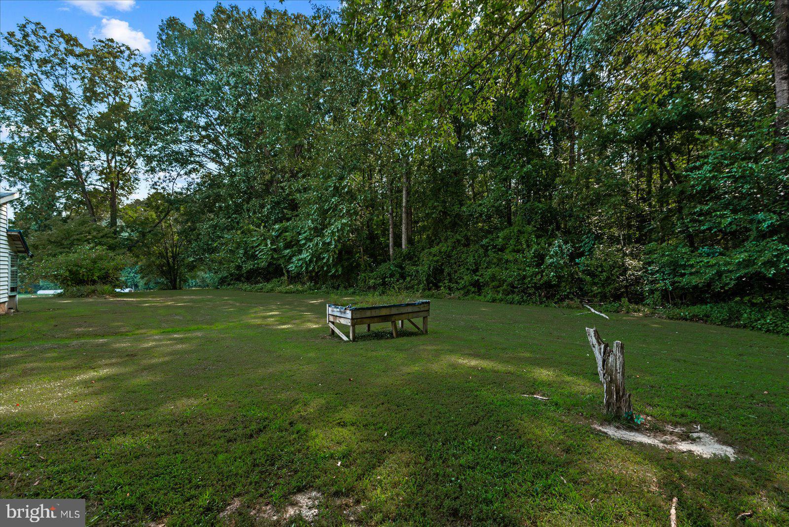2931 Vawter Corner Road Louisa, VA 23093 - Photo 32 of 47 a view of a park