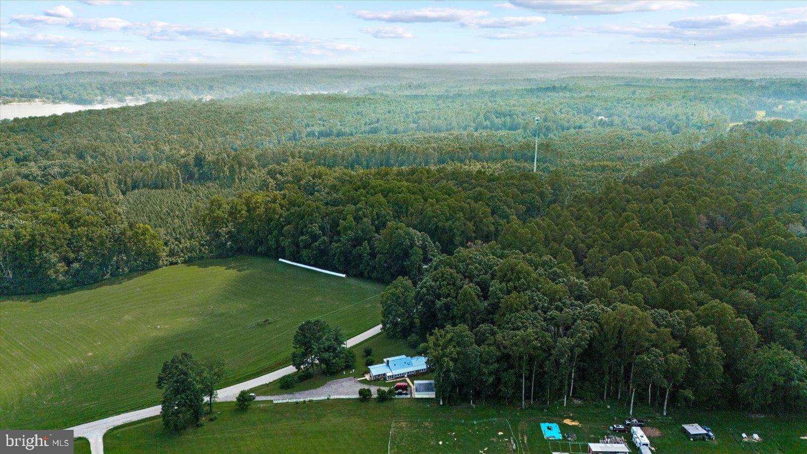 2931 Vawter Corner Road Louisa, VA 23093 - Photo 45 of 47 a view of a green field with lots of trees