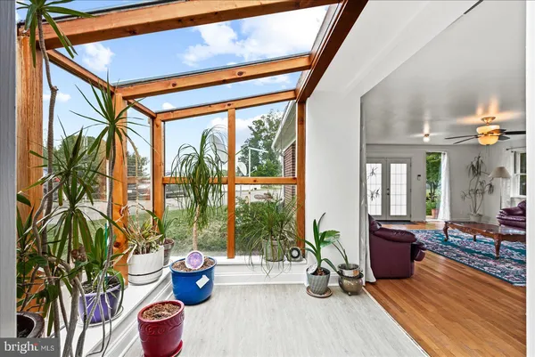 a living room filled with furniture and a potted plant