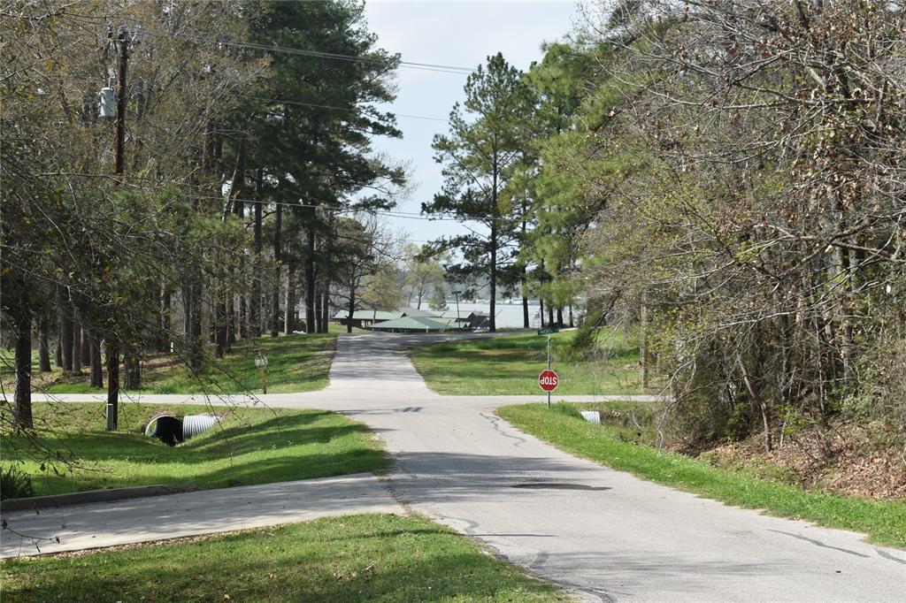 Cedar Point Livingston, TX 77351 - Photo 1 of 5 a view of park and trees