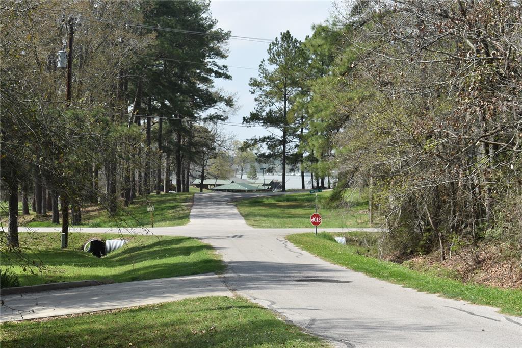 a view of park and trees