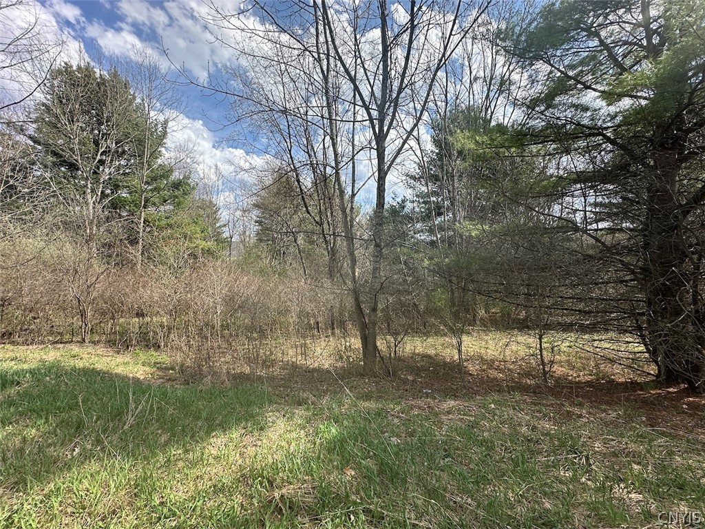 Pigtail Road Friendship, NY 14739 - Photo 11 of 11