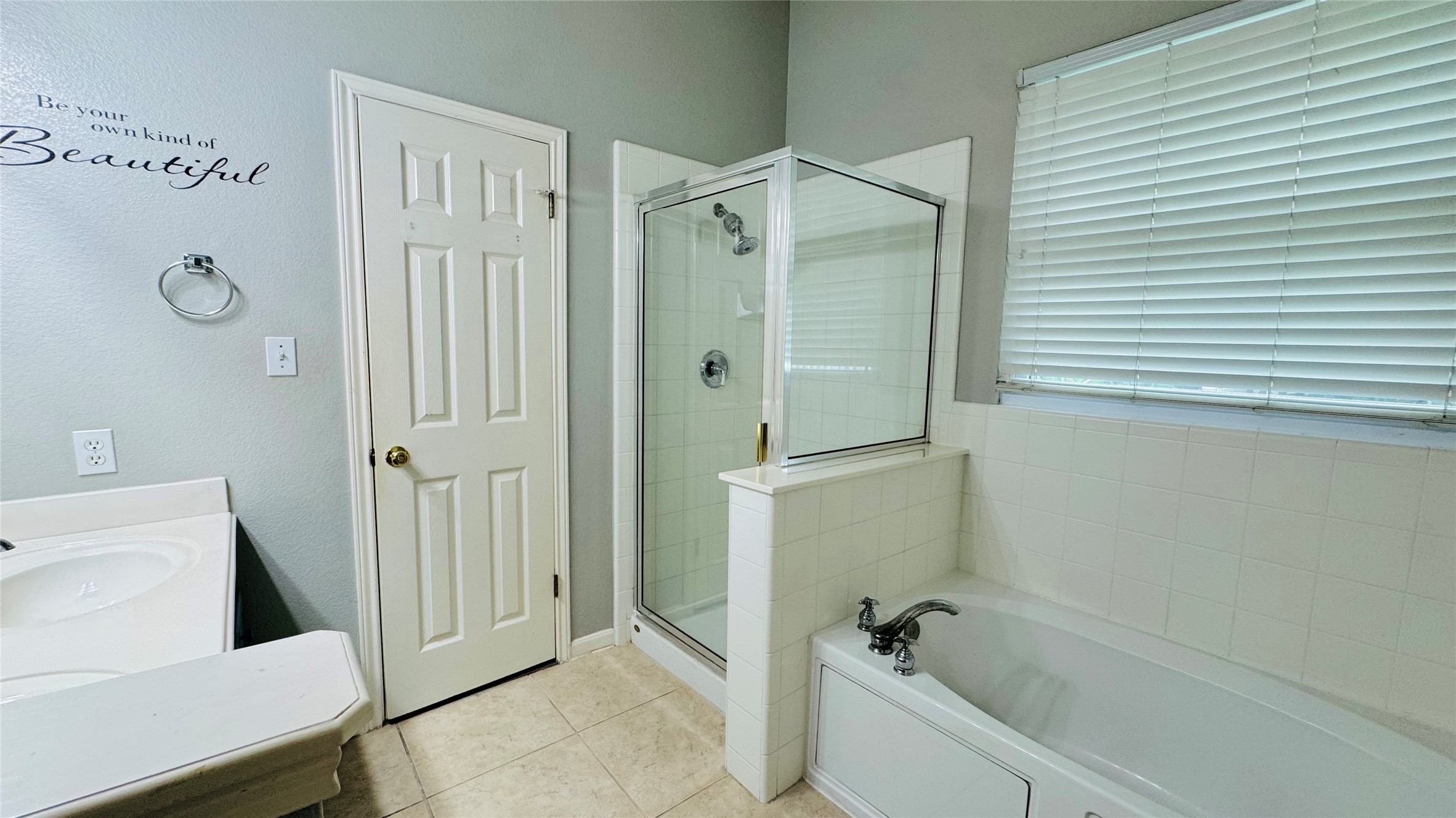 401 Witte Road Kyle, TX 78640 - Photo 4 of 9 Master bathroom- A well-appointed bathroom featuring a clean shower stall and a pristine bathtub.