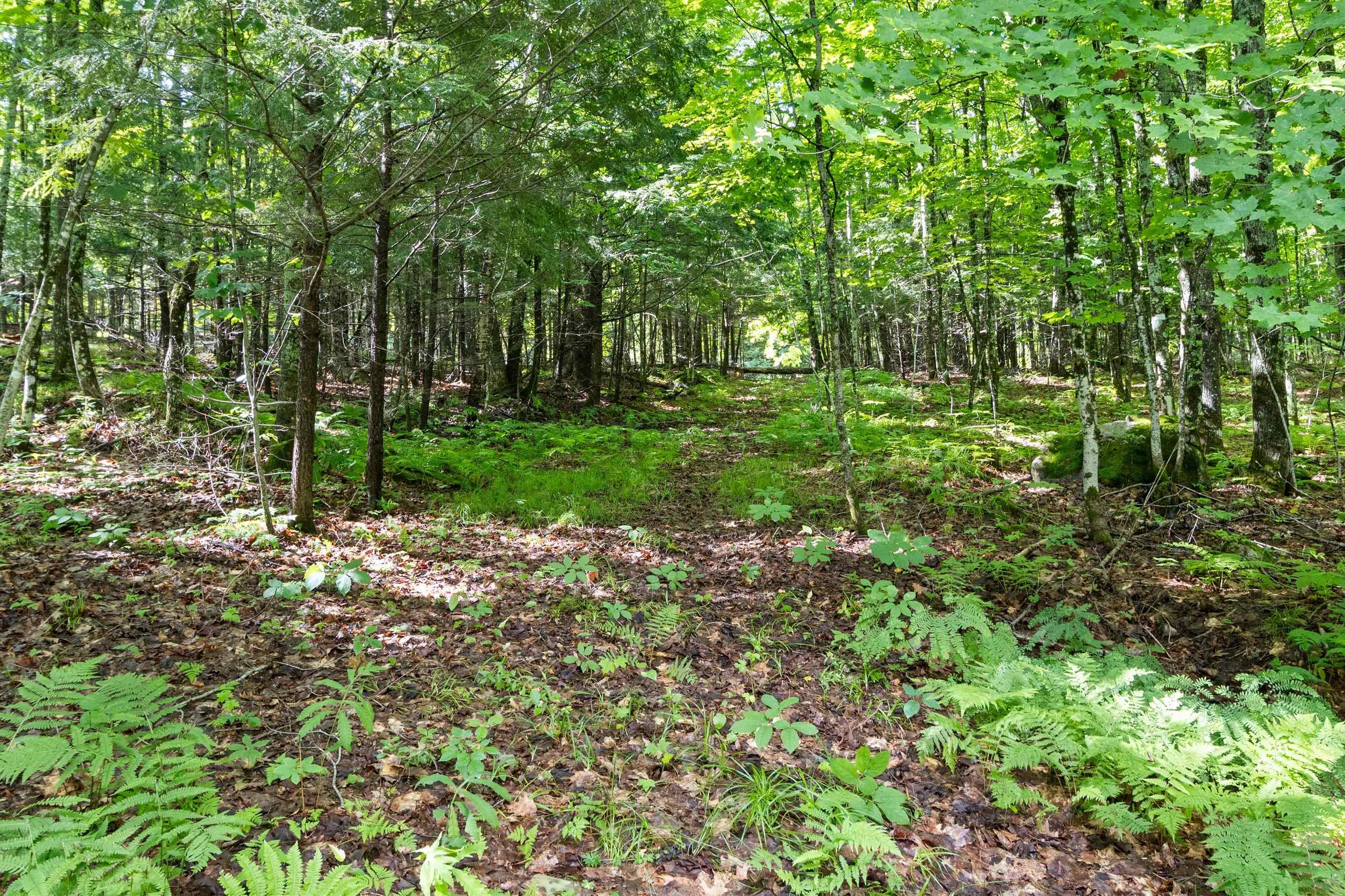 11339 Old 8 Road Crandon, WI 54520 - Photo 9 of 58