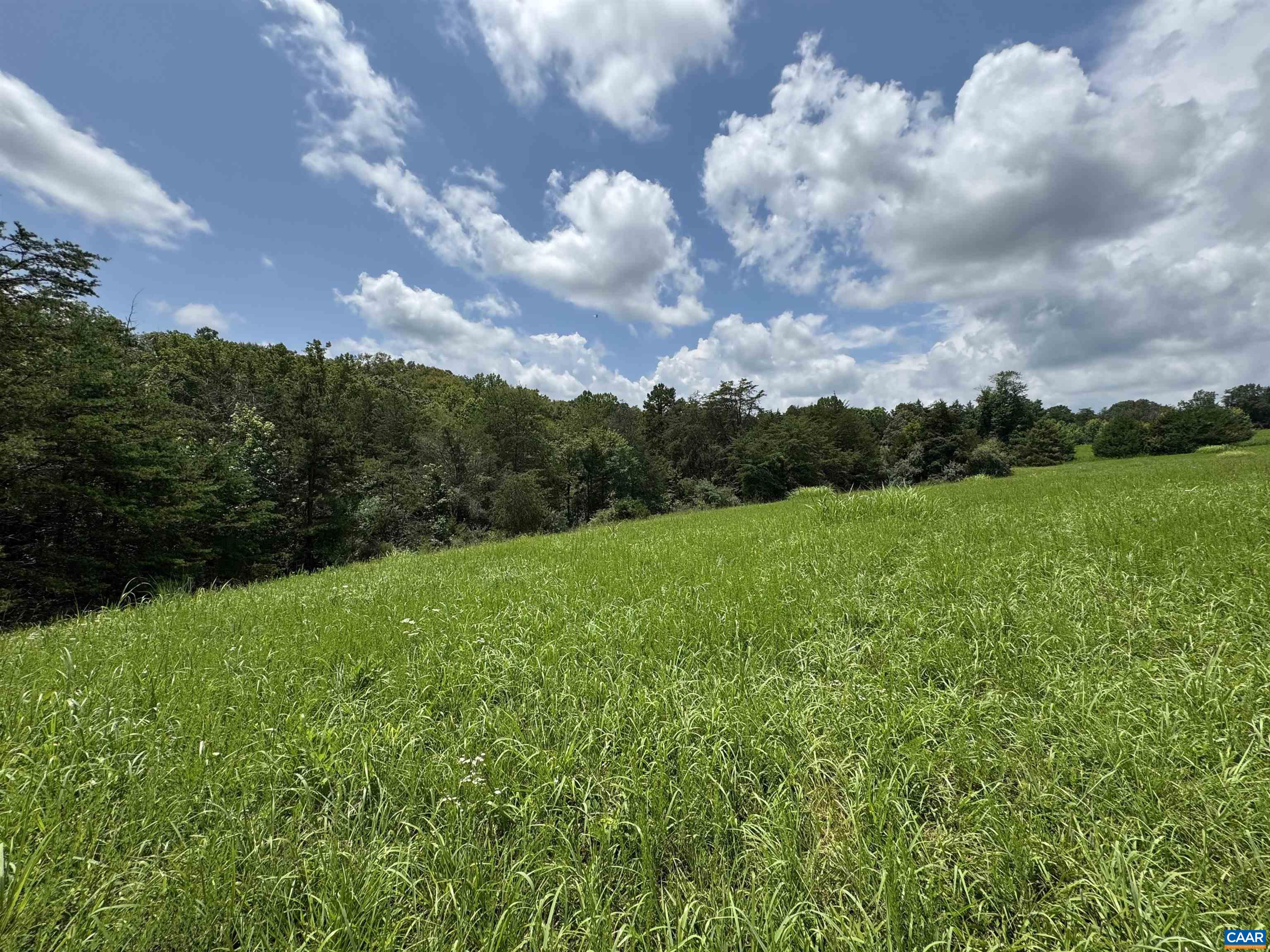 Tbd Fishpond Road Howardsville, VA 24562 - Photo 10 of 14