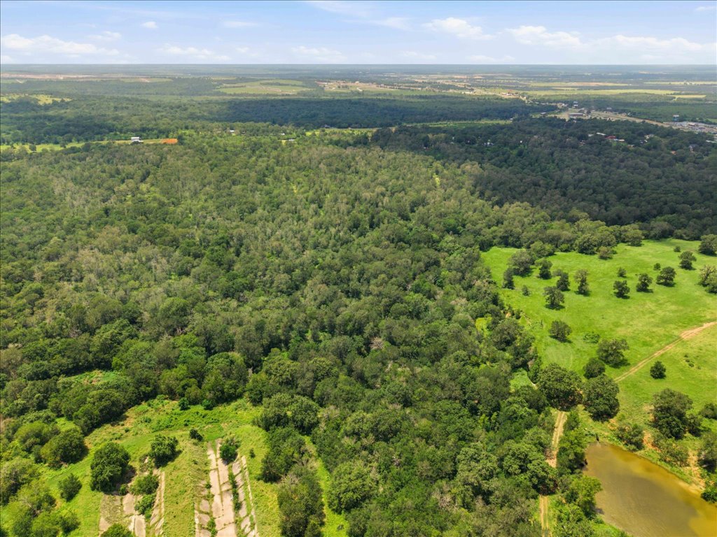 Tbd Fawn Ridge Road Cedar Creek, TX 78612 - Photo 11 of 13