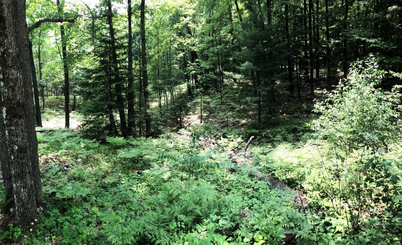 3750 North Faust Lk Road Rhinelander, WI 54501 - Photo 17 of 79 Gallery Image 17
