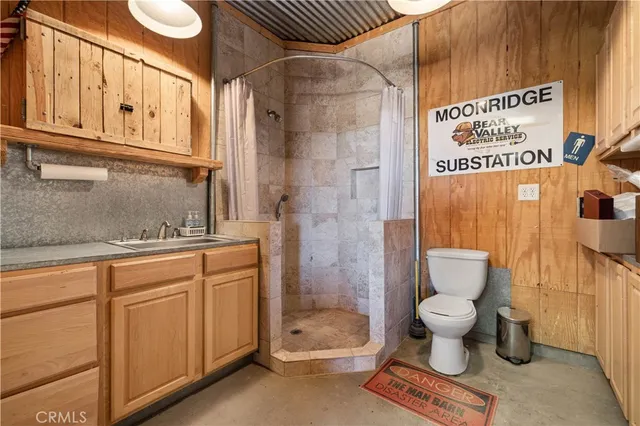 a view of a city with mountains in the background