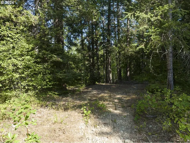 $375,000 | 1285 North Frontage Road, Wolf Creek, OR 97497