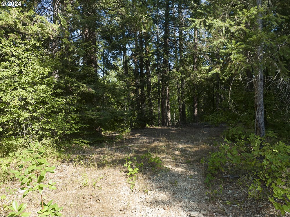 1285 North Frontage Road Wolf Creek, OR 97497 - Photo 33 of 39