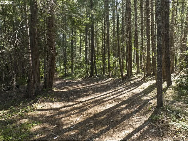 $375,000 | 1285 North Frontage Road, Wolf Creek, OR 97497