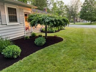 80 West Broadway Bangor, ME 04401 - Photo 2 of 59 IMG959958