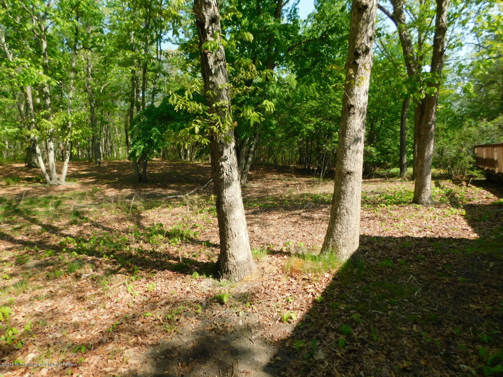 580 Diamond Road Jackson, NJ 08527 - Photo 3 of 15 DSCN3337