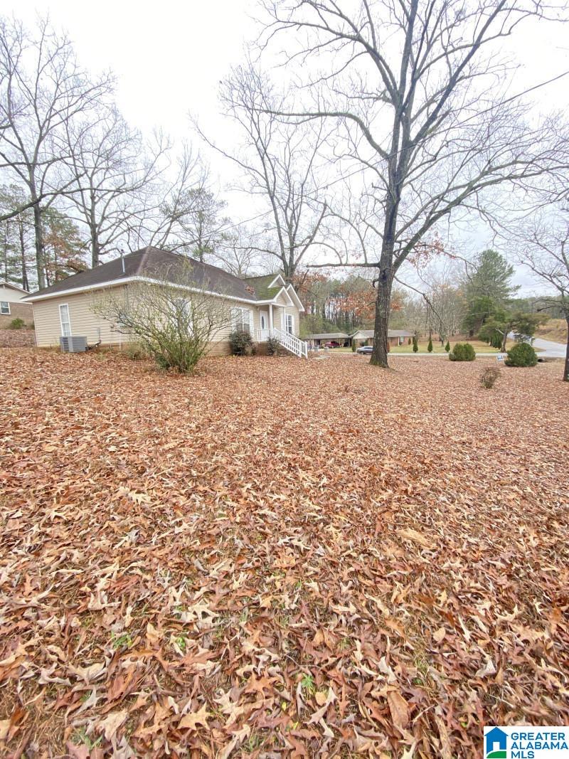 23 Crumpton Street Thorsby, AL 35171 - Photo 5 of 18